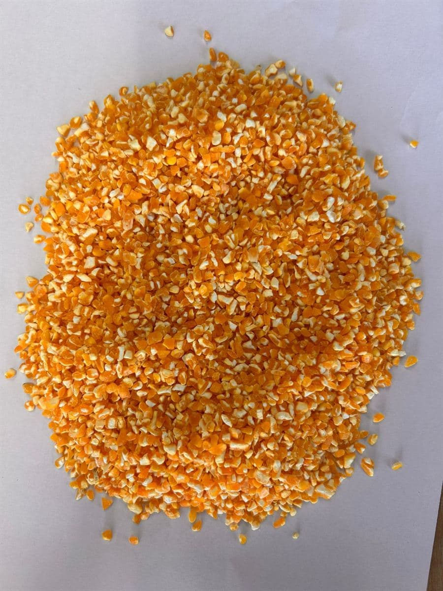 Bright orange-yellow corn grits (groat of corn) — coarsely cracked dehulled and degermed maize