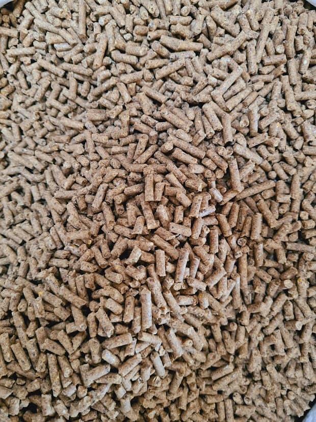 Compound cattle feed pellets in 50 kg bags at an Indian feed mill