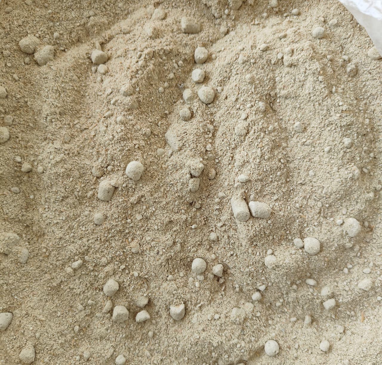 De-oiled rice bran (DORB) sample at a feed mill