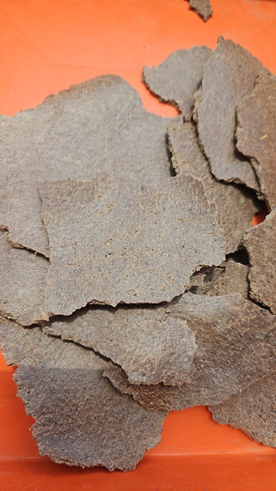 Groundnut cake (mungphali khal) coins at an Indian oil mill