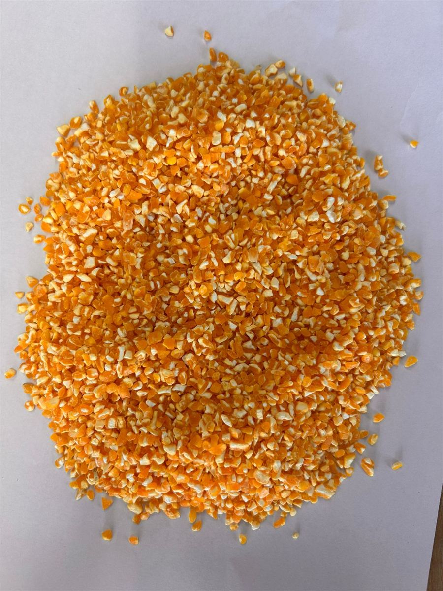 Bright orange-yellow corn grits on a white paper background showing the coarse texture and varied particle sizes typical of food-grade groat of corn