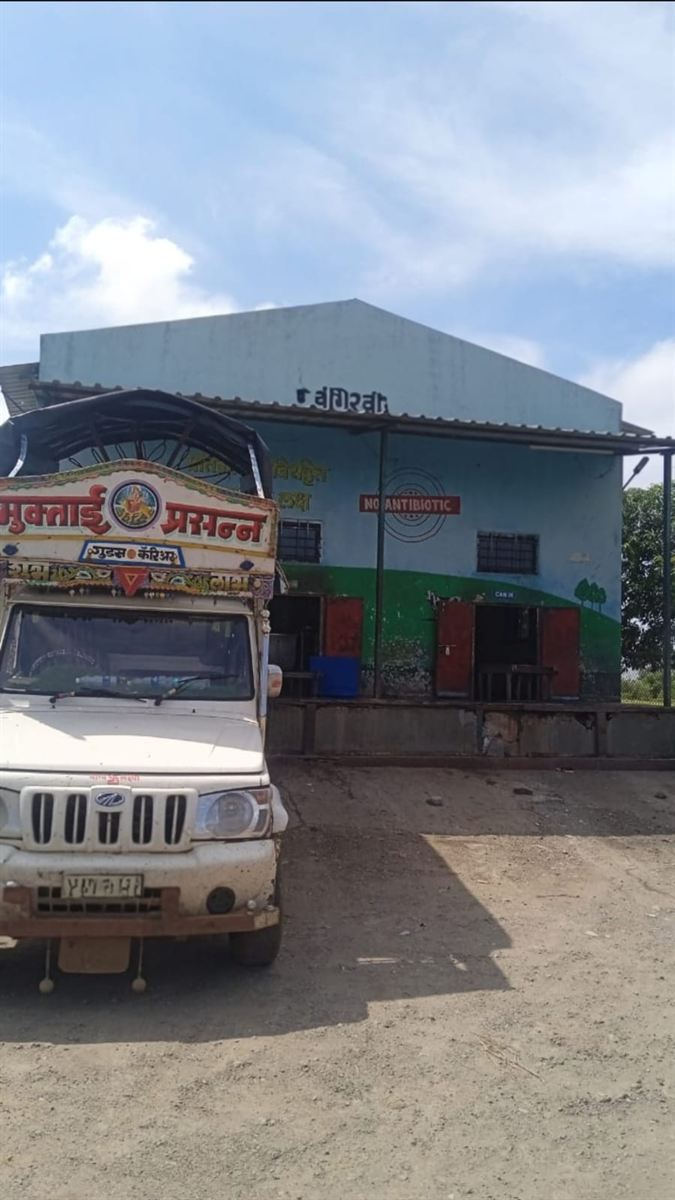 A larger regional milk collection centre with a goods-carrier truck and the words 'NO ANTIBIOTIC' on the wall