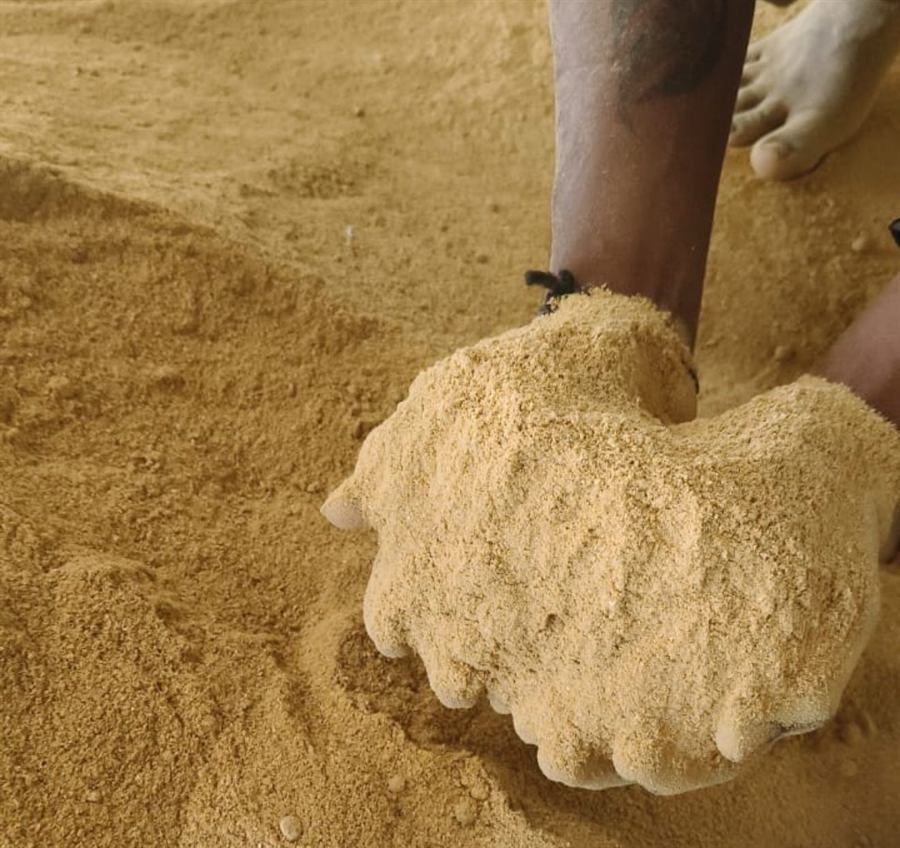 Cream-coloured Maize DOC powder being held in hands